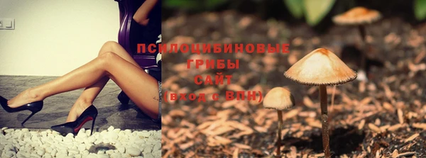 гидропоника Елабуга