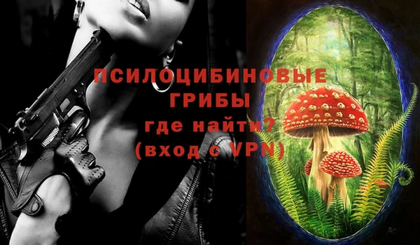 круглые Ельня