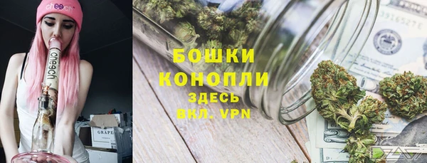 круглые Ельня