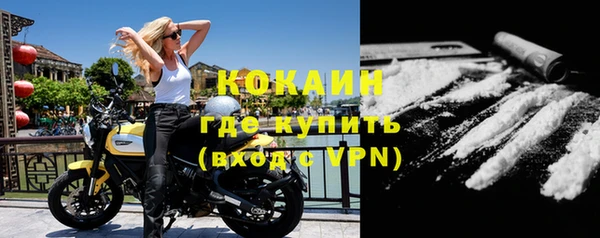 ПСИЛОЦИБИНОВЫЕ ГРИБЫ Елизово