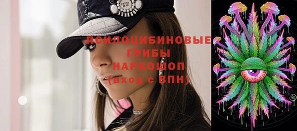 гидропоника Елабуга